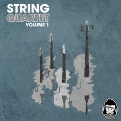 دانلود پکیج لوپ استرینگ Vanilla Groove Studios String Quartet Vol 1 WAV