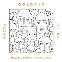 دانلود پکیج لوپ بومی Splice Sounds Goldcap World Instruments and Vocals WAV