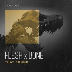 دانلود پکیج لوپ درام راک That Sound Flesh X Bone WAV
