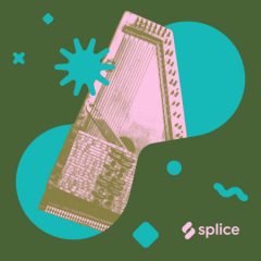 دانلود پکیج لوپ زیتر Splice Sounds Originals Electric Zither with Laraaji WAV