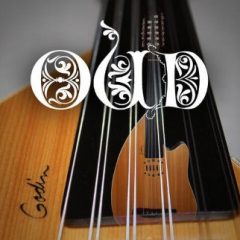 دانلود پکیج لوپ عود ترکی عربی Image Sounds Oud 1 WAV
