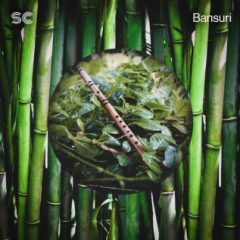 دانلود پکیج لوپ فلوت بانسوری Sonic Collective Bansuri WAV