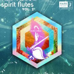 دانلود پکیج لوپ فلوت RARE Percussion Spirit Flutes Vol. 2 WAV