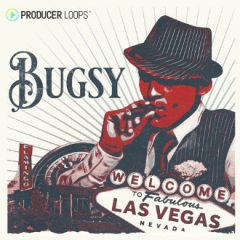 دانلود پکیج لوپ ملودی هیپ هاپ Producer Loops Bugsy MULTiFORMAT