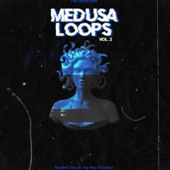 دانلود پکیج لوپ ملودی هیپ هاپ TheDrumBank Medusa Loops Vol.2 WAV