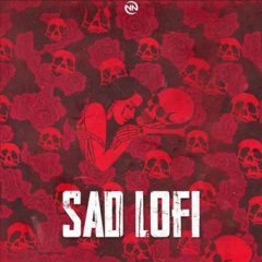 دانلود پکیج لوپ ملودی هیپ هاپ TheDrumBank Sad Lofi WAV