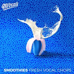 دانلود پکیج لوپ های وکال ۹۱Vocals Smoothies Fresh Vocal Chops WAV