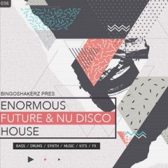 دانلود پکیج لوپ و سمپل Bingoshakerz Enormous Future And Nu Disco House WAV