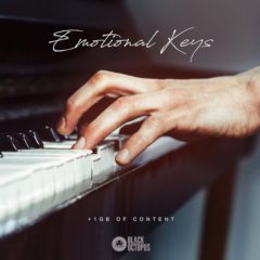 دانلود پکیج لوپ و سمپل Black Octopus Sound Emotional Keys WAV