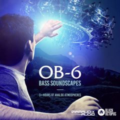 دانلود پکیج لوپ و سمپل Black Octopus Sound OB6 Bass Soundscape WAV