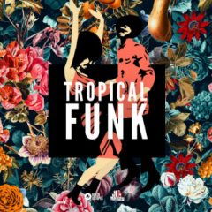 دانلود پکیج لوپ و سمپل Black Octopus Sound Tropical Funk by Basement Freaks WAV