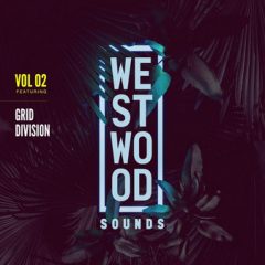 دانلود پکیج لوپ و سمپل Black Octopus Sound Westwood Sounds Vol.2 WAV, Serum