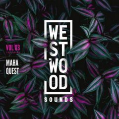دانلود پکیج لوپ و سمپل Black Octopus Sound Westwood Sounds Vol.3 WAV, Serum