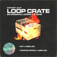 دانلود پکیج لوپ و سمپل Canary Julz Loop Crate WAV