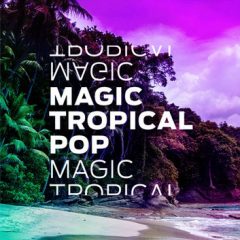 دانلود پکیج لوپ و سمپل Diginoiz Magic Tropical Pop WAV, MiDi, Presets