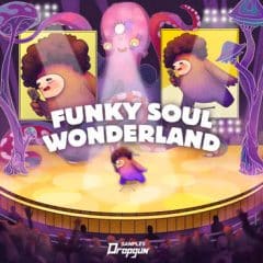 دانلود پکیج لوپ و سمپل Dropgun Samples Funky Soul Wonderland WAV