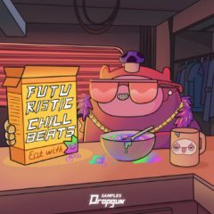 دانلود پکیج لوپ و سمپل Dropgun Samples Futuristic Chill Beats MULTiFORMAT
