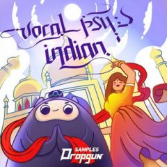 دانلود پکیج لوپ و سمپل Dropgun Samples Vocal Psy Indian WAV