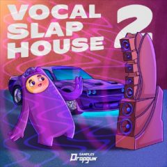 دانلود پکیج لوپ و سمپل Dropgun Samples Vocal Slap House 2 WAV PRESETS