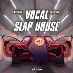 دانلود پکیج لوپ و سمپل Dropgun Samples Vocal Slap House WAV