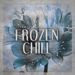 دانلود پکیج لوپ و سمپل Famous Audio Frozen Chill WAV