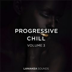 دانلود پکیج لوپ و سمپل Laniakea Sounds Progressive Chill 3 WAV