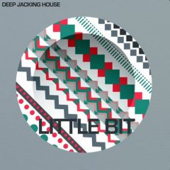 دانلود پکیج لوپ و سمپل Little Bit Deep Jacking House WAV