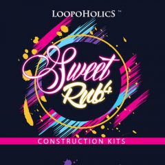 دانلود پکیج لوپ و سمپل Loopoholics Sweet RnB 4 Construction Kits WAV MIDI