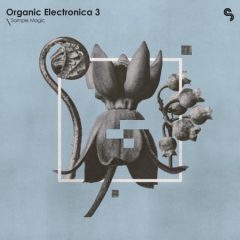 دانلود پکیج لوپ و سمپل Sample Magic Organic Electronica 3 MULTiFORMAT