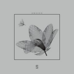 دانلود پکیج لوپ و سمپل Samplified Awaken Sample Pack WAV MIDI