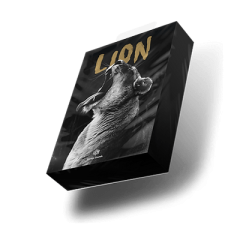 دانلود پکیج لوپ و سمپل Savage Sounds Lion Progressive House Sample Pack MULTiFORMAT
