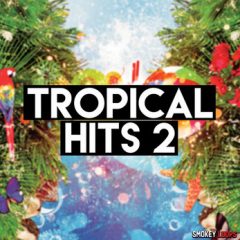 دانلود پکیج لوپ و سمپل Smokey Loops Tropical Hits 2 WAV MiDi