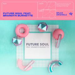دانلود پکیج لوپ و سمپل Splice Future Soul Vol 1 with Brandyn Burnette MULTiFORMAT
