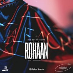 دانلود پکیج لوپ و سمپل Splice MAD ZOO presents Rohaan Sample Pack WAV