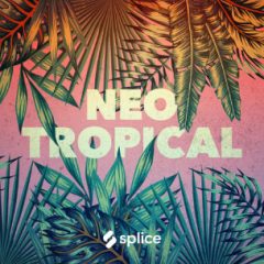 دانلود پکیج لوپ و سمپل Splice Originals Neo Tropical MULTiFORMAT