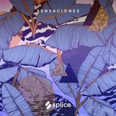 دانلود پکیج لوپ و سمپل Splice Originals Sensaciones Latin RnB WAV