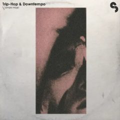 دانلود پکیج لوپ و سمپل Trip-Hop and Downtempo MULTiFORMAT