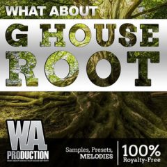 دانلود پکیج لوپ و سمپل WA Production G House Root WAV, MiDi, Presets, FL Templates