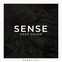 دانلود پکیج لوپ و سمپل Zenhiser Sense Deep House WAV