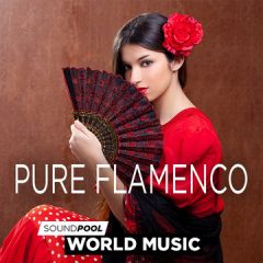 دانلود پکیج لوپ و سمپل اسپانیایی Magix Soundpool Pure Flamenco WAV