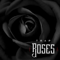 دانلود پکیج لوپ و سمپل ترپ Diginoiz Trap Roses WAV