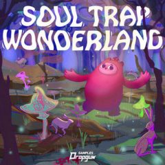 دانلود پکیج لوپ و سمپل ترپ Dropgun Samples Soul Trap Wonderland MULTiFORMAT