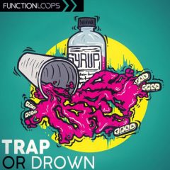 دانلود پکیج لوپ و سمپل ترپ Function Loops Trap Or Drown WAV MiDi