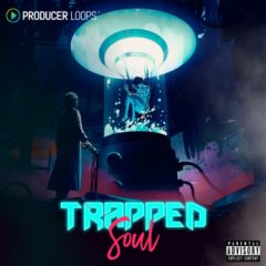 دانلود پکیج لوپ و سمپل هیپ هاپ Producer Loops Trapped Soul WAV