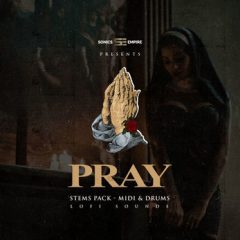 دانلود پکیج لوپ و سمپل هیپ هاپ Sonics Empire Pray WAV MIDI