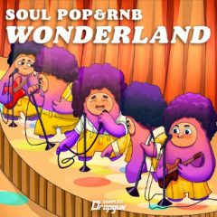 دانلود پکیج لوپ و سمپل Dropgun Samples Soul Pop and RnB Wonderland WAV SERUM