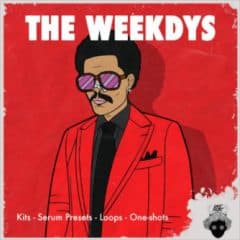 دانلود پکیج لوپ و سمپل و پریست Ghst Prjkt The Weekdys WAV MiDi Serum Presets