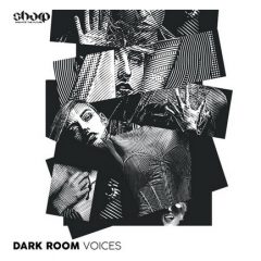 دانلود پکیج لوپ و سمپل وکال Function Loops Dark Room Voices WAV