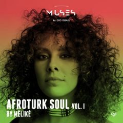دانلود پکیج لوپ و سمپل وکال محلی Muses Afroturk Soul by Melike WAV