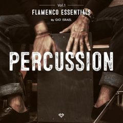 دانلود پکیج لوپ و سمپل پرکاشن Gio Isr ael Flamenco Essentials Percussion Vol. 1 WAV